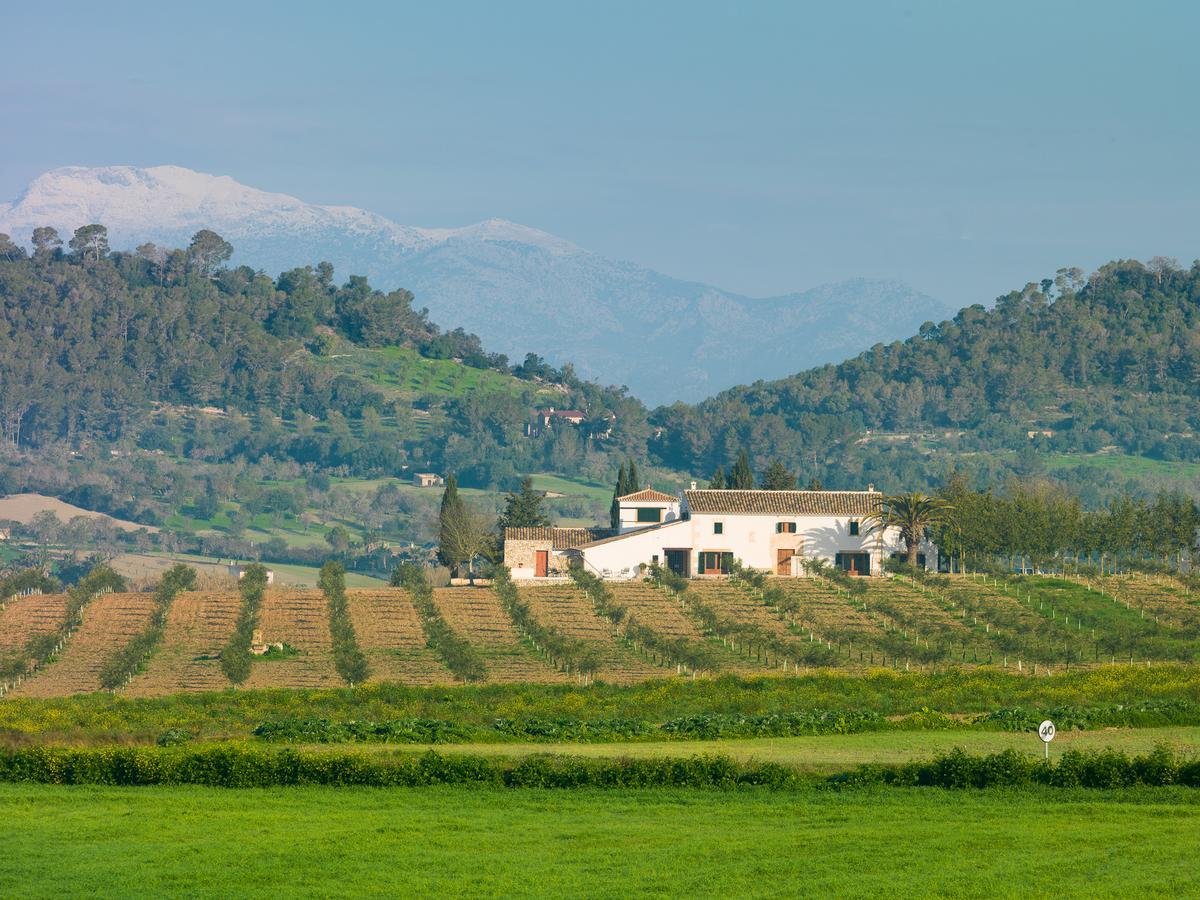 Agroturisme Gossalba Sant Joan Bagian luar foto